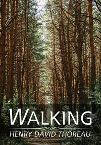 산책(Walking) (커버이미지)